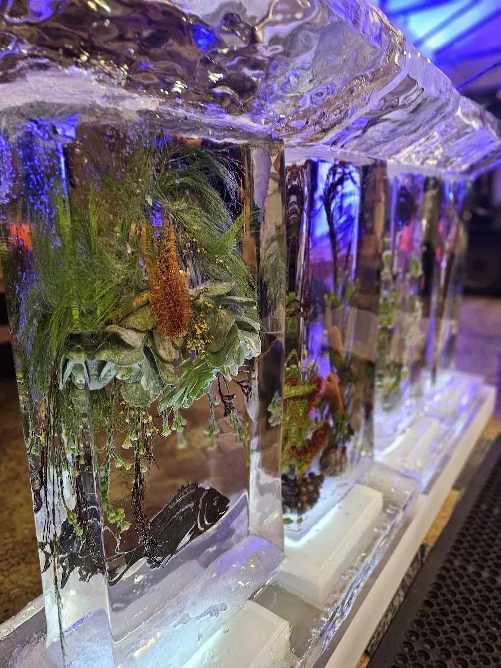 Ice Sculpture featuring Tasmania flora
