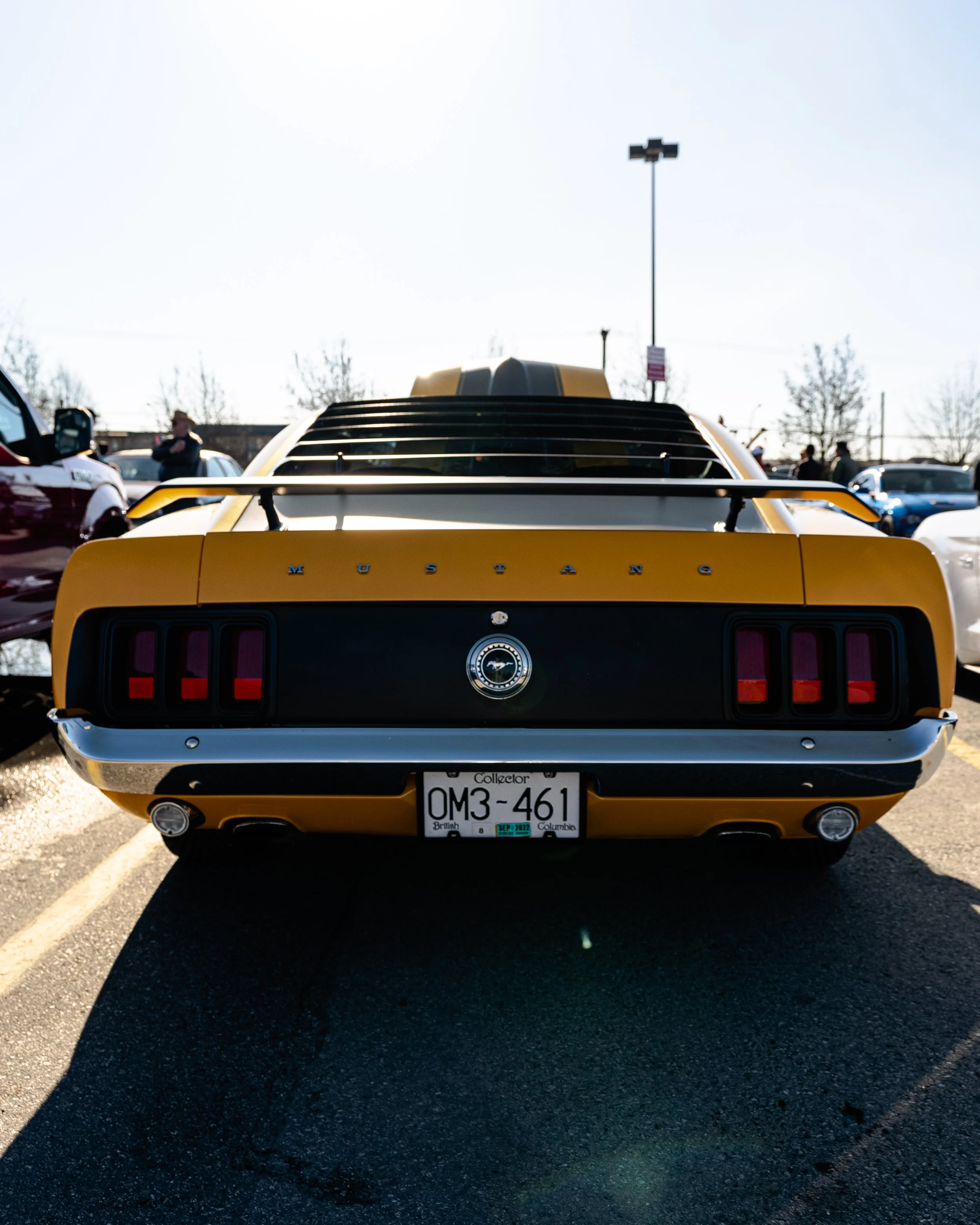 DSC08943.jpg