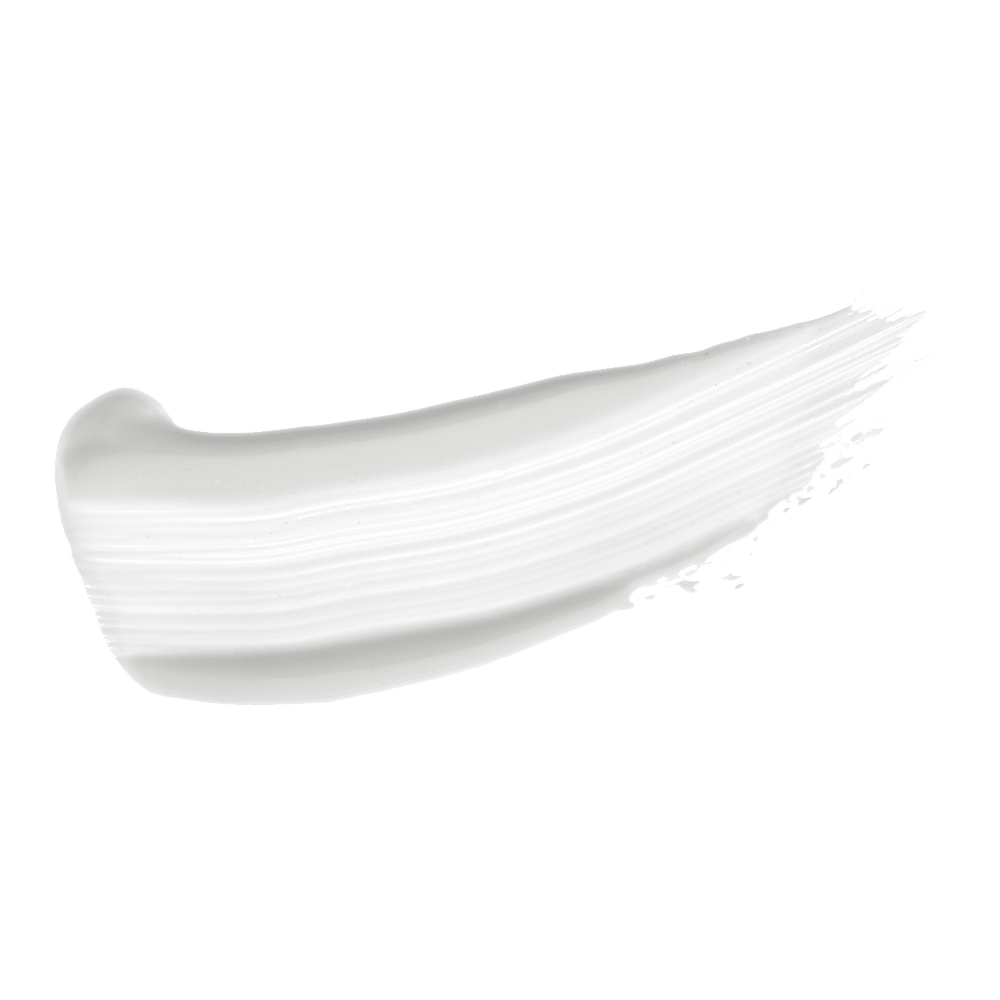 Plotkin Family Timeline — Plotkin Foundation