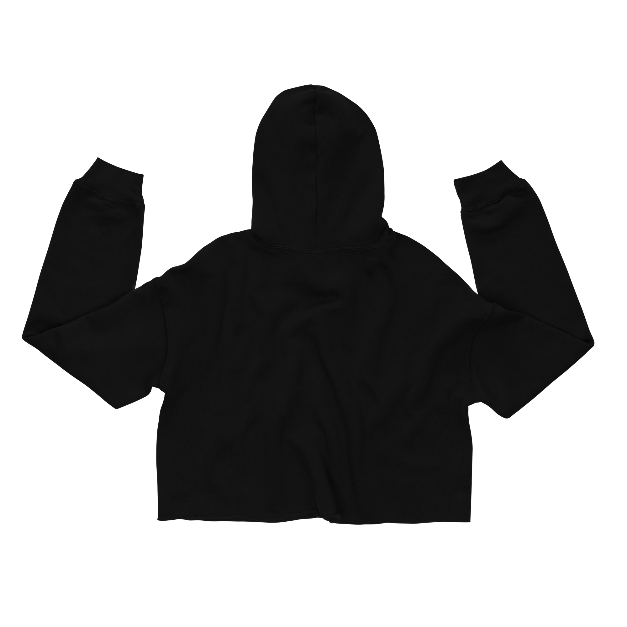 womens-cropped-hoodie-black-back-69de862f7b8ab.png