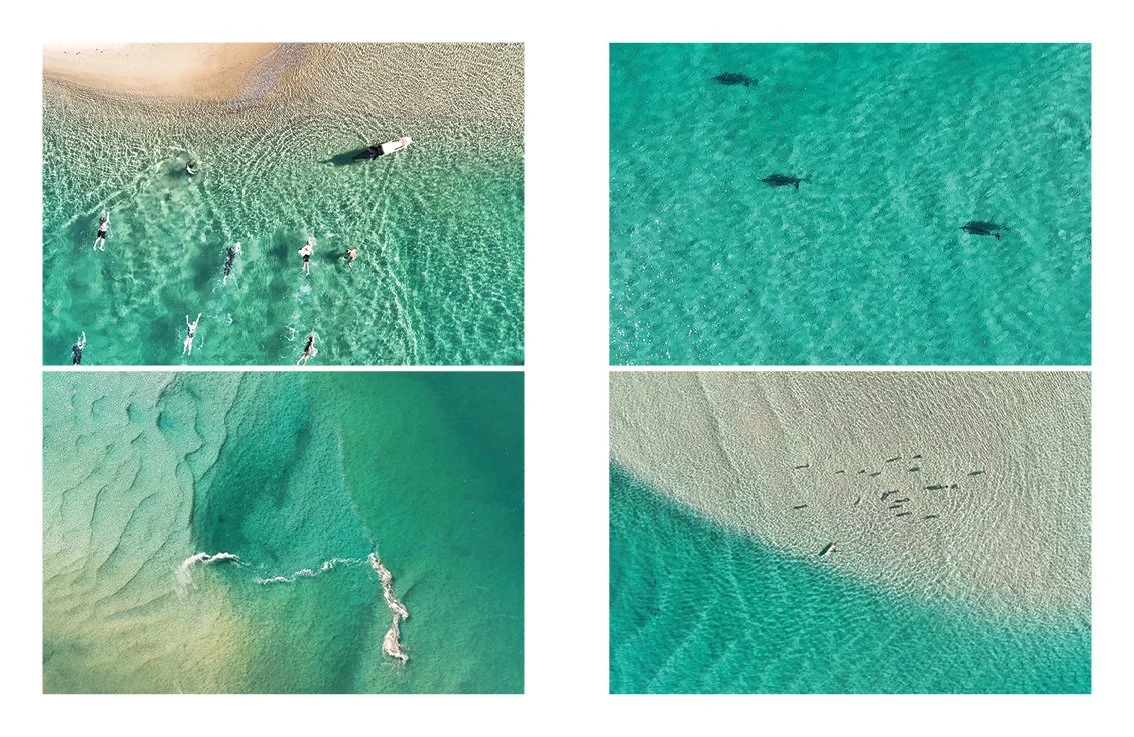 ANdrew Suggit Studio_SWIM15.jpg