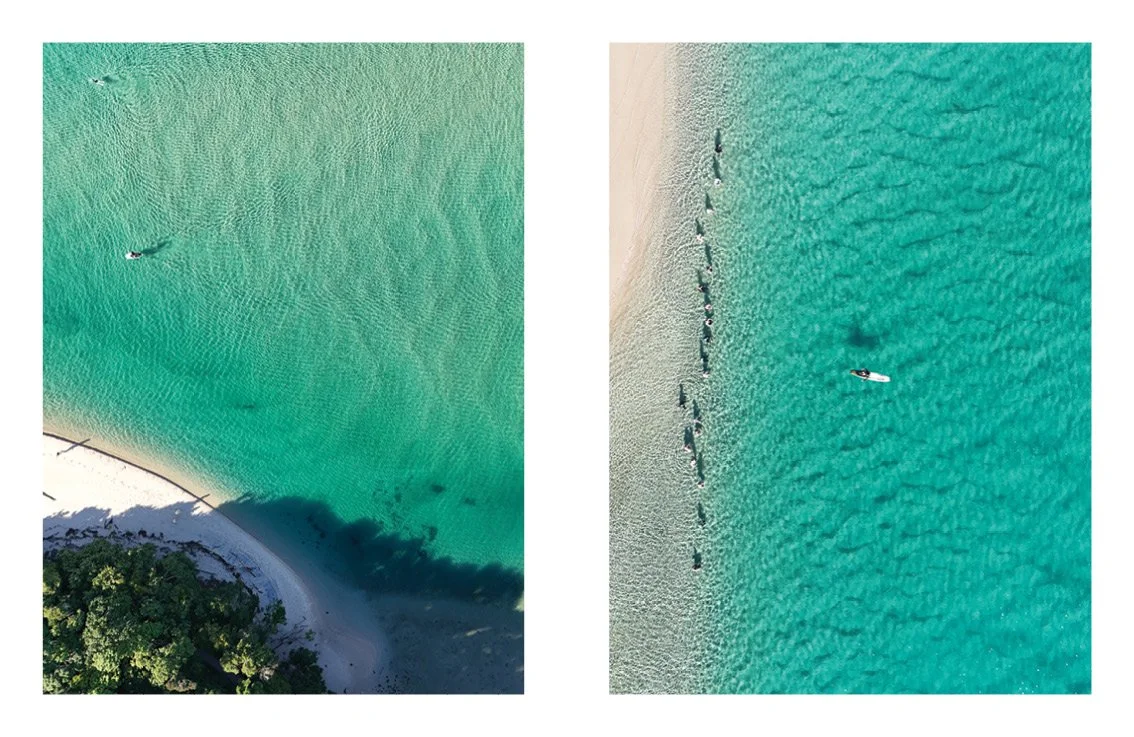 ANdrew Suggit Studio_SWIM16.jpg