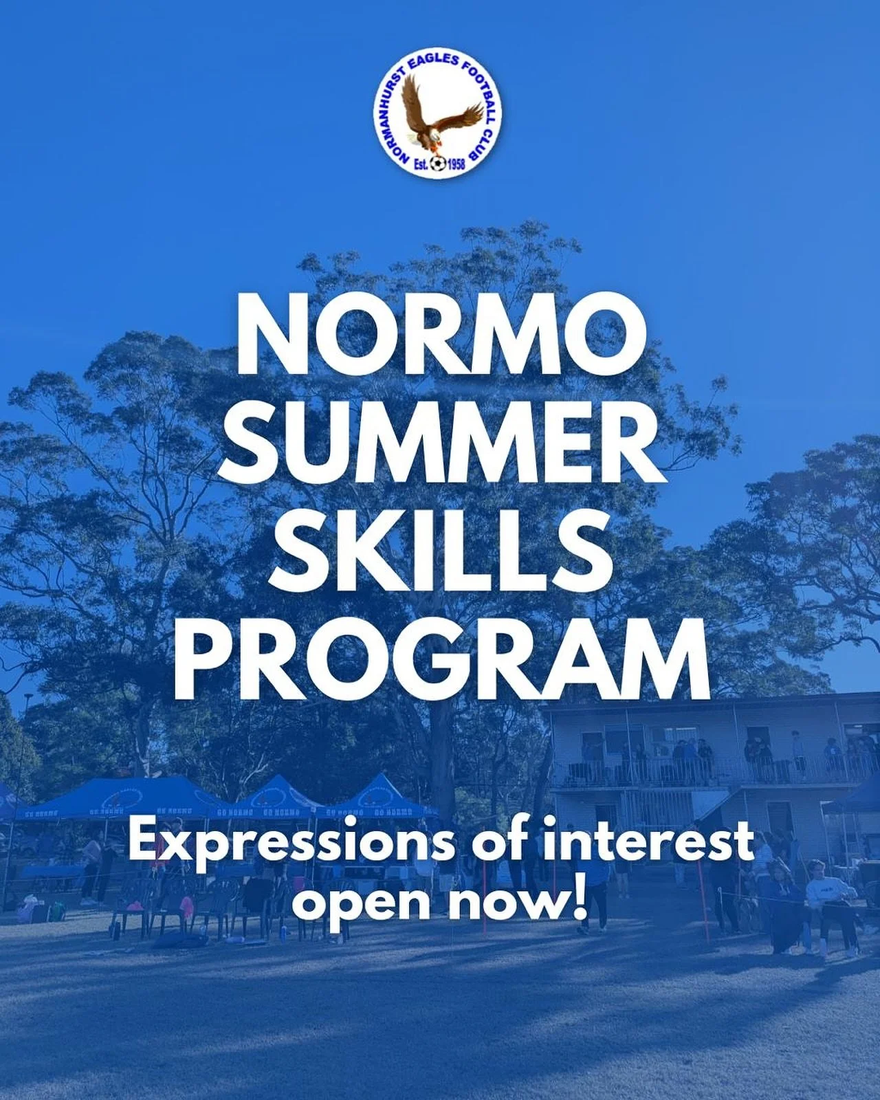 We are delighted to announce that we will be running a Term 4 Summer Skills Program for both existing and new minis and junior players (U5-U12s), in addition to a skills training program aimed specifically at senior female players. 

The two programs