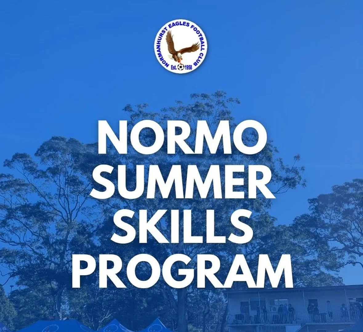 REGISTRATIONS FOR SUMMER SKILLS SESSIONS NOW OPEN! Starts 15th/16th October. 
More info on our website and booking link in bio 😀 Only $50 for 8 sessions !! 🦅 (Age groups are mixed/girls U5-U12 and Senior Women&rsquo;s)