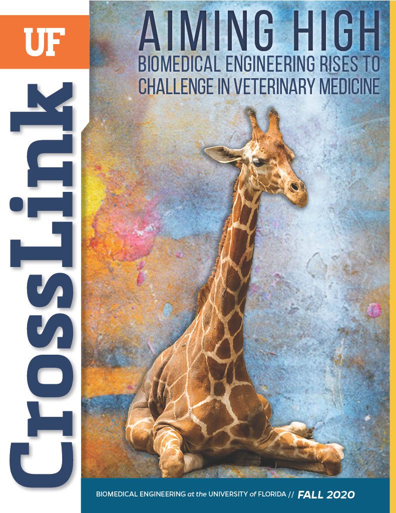 2020 CrossLink on Collaborative Initiatives
