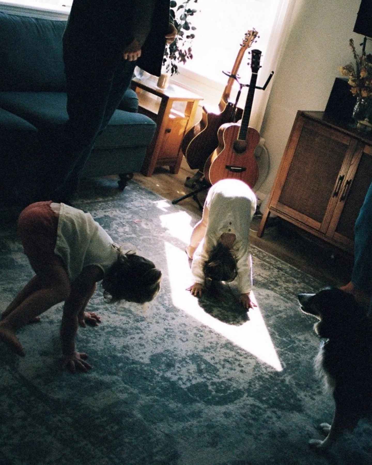 This drizzly weather has me wanting to remind you: indoor sessions can be just as magical. Especially when they look like this morning which was spent helping dad make coffee, eating donuts, + a barefoot dance party in the living room. 

.
.
.

India