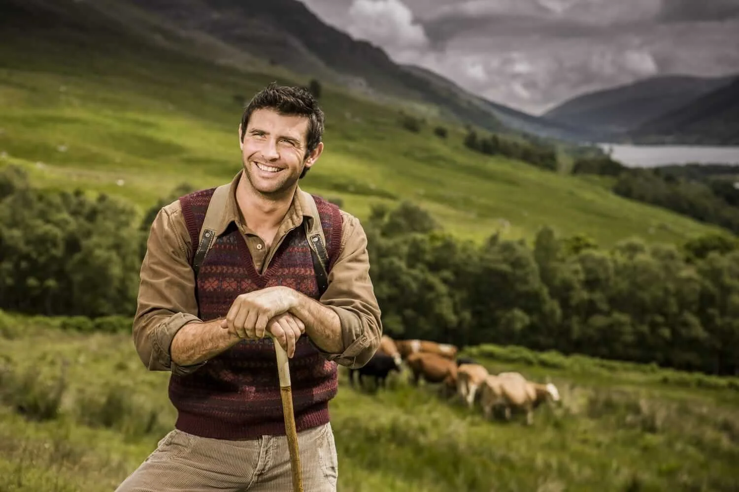 Scottish Beef | Euan Myles