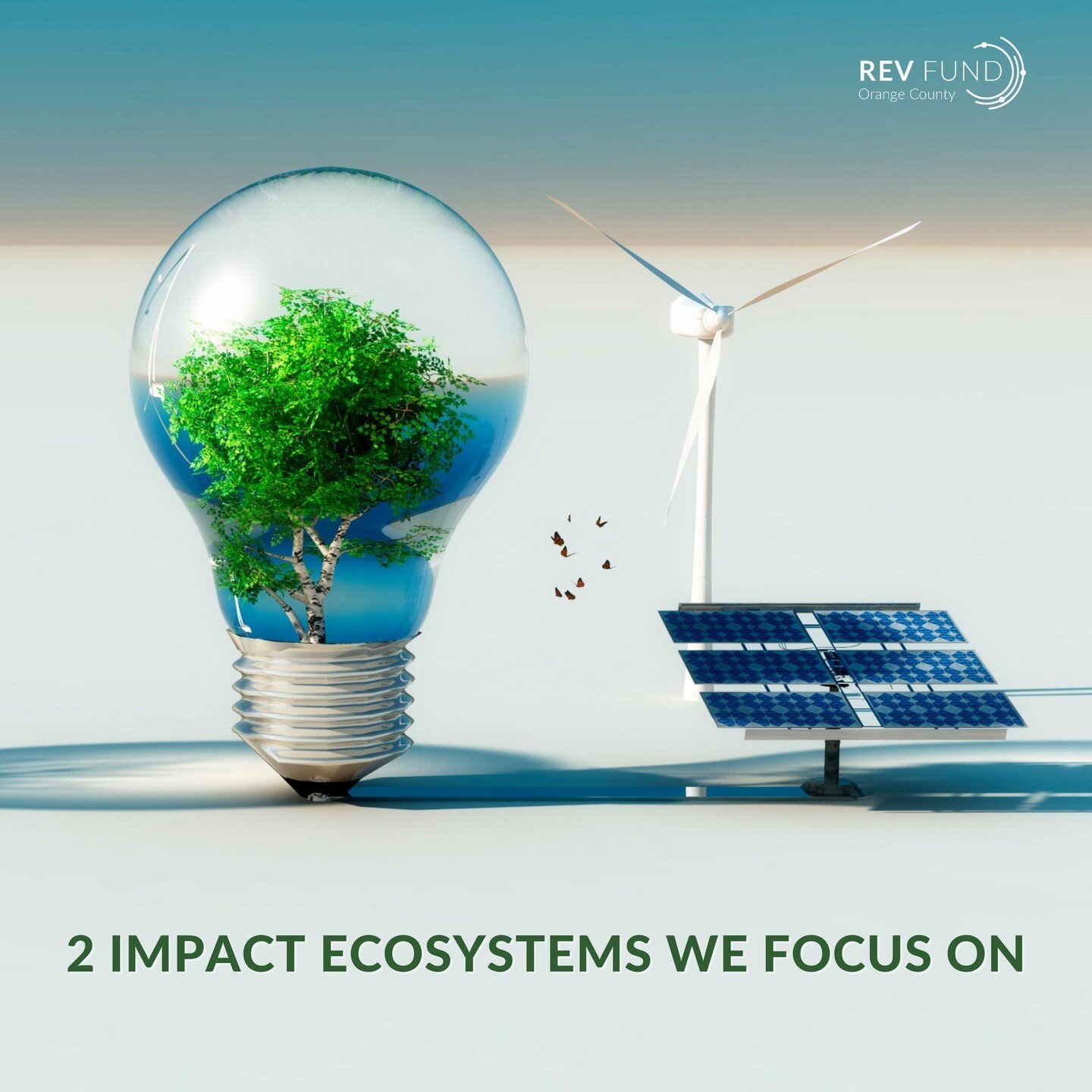 RevFund looks for startups in two key sectors: ⁠
⁠
🌳 Climate Tech ⁠
🧬 Health/Human Equity ⁠
⁠
If you are an impact-first company looking for funding or an investor wanting to support impact in these sectors, we&rsquo;d love to talk to you.  Just vi