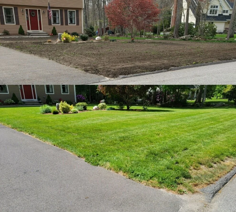 Before and after of a front yard, from bare topsoil to a new green lawn