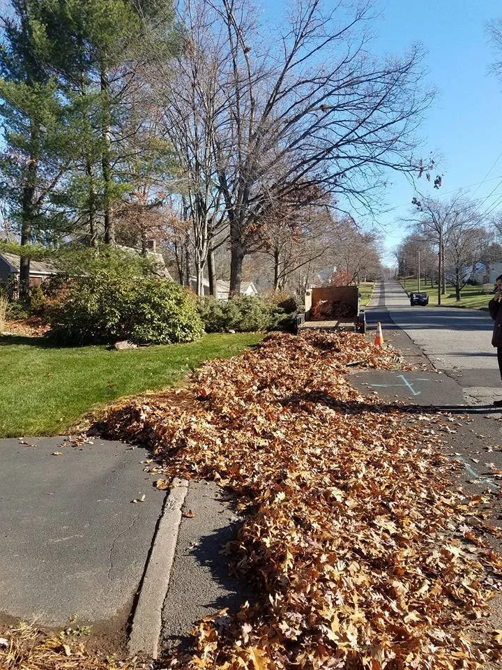 Pile of fall leaves raked to the curb on a residential street