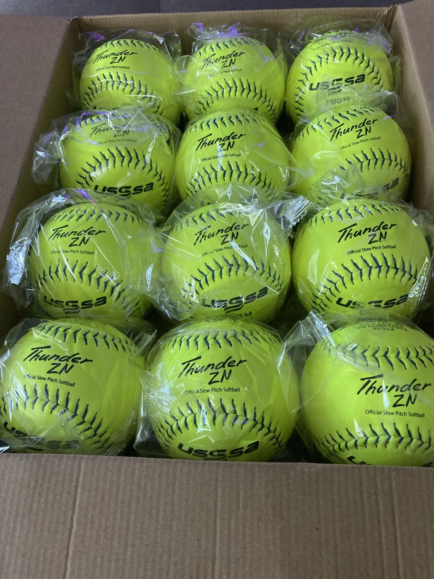 Dudley Thunder Advance USSSA Senior Only softball — Mastery Sports