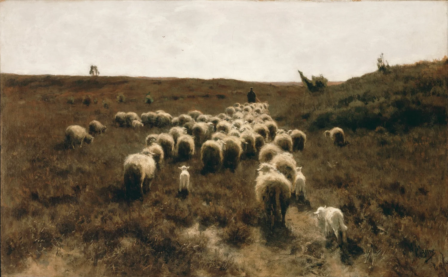 A shepherd walking his flock home across open heath under a pale sky.