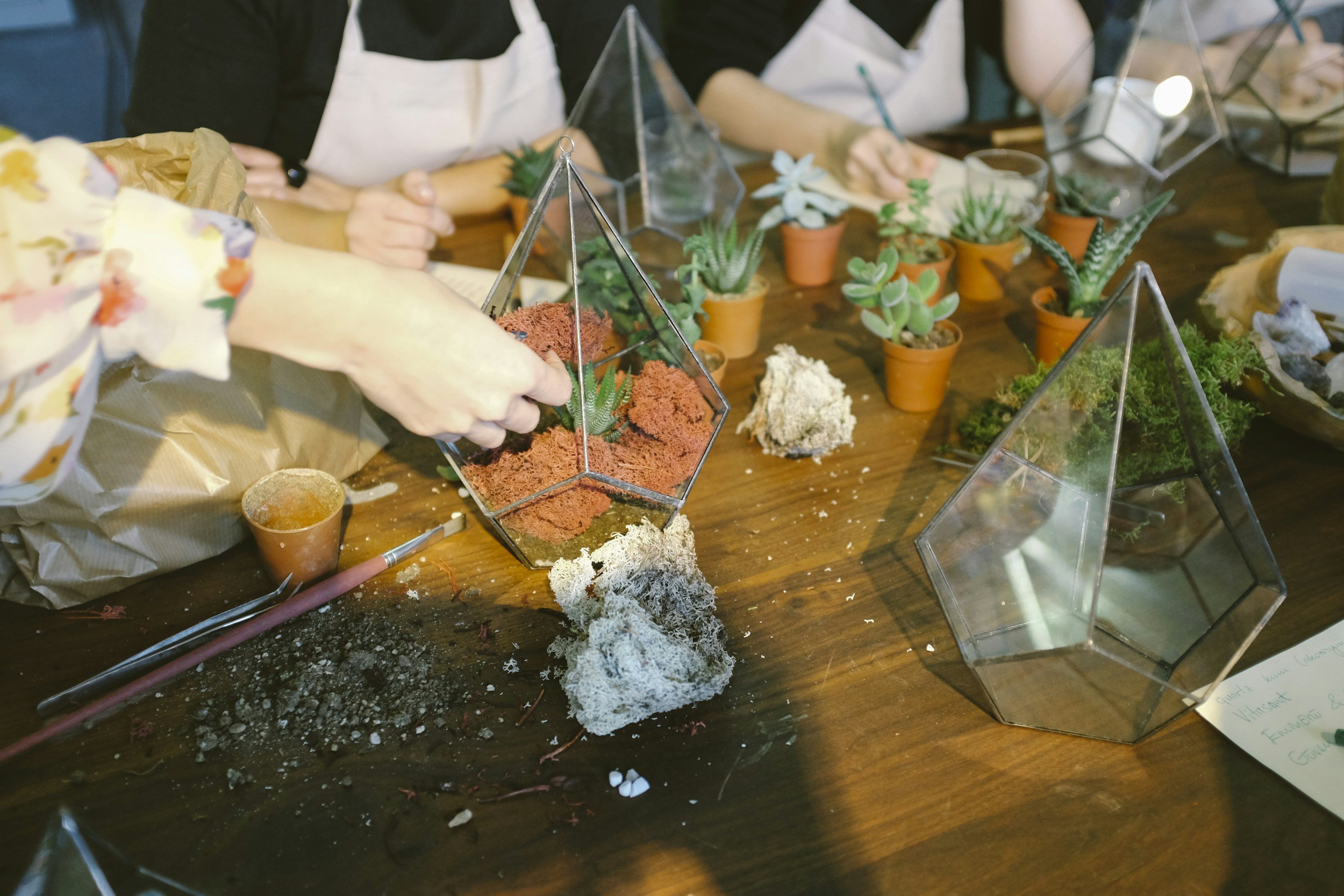 Plant & Play: Terrarium Time