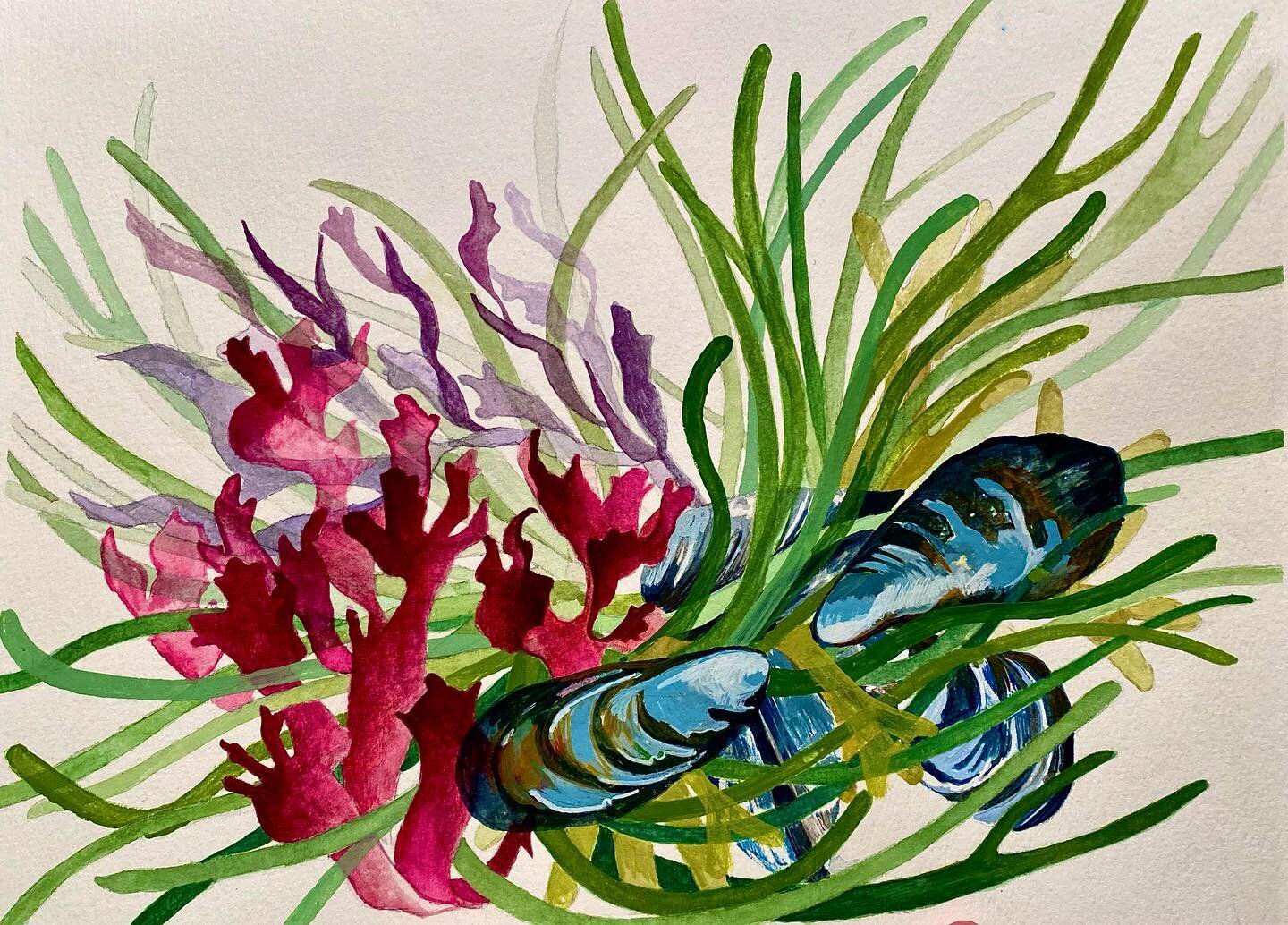 Stretching for the new year, some dead men fingers. This is the fun bit where you tease out all the aspects you like from realism and you spin it out to abstract.
#watercolorpainting #capecodart #abstractedreality #saltylife #stilllife