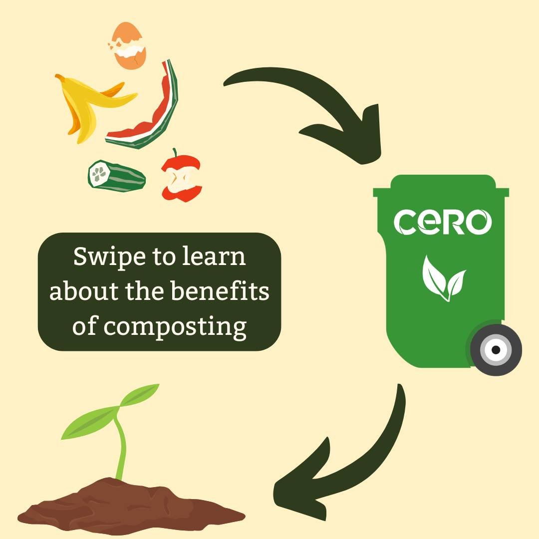 At Daily Table, we&rsquo;re on a mission to make fresh, nutritious food more accessible, all while minimizing food waste.

We partner with @cero.coop, a Dorchester-based composting company to help us recycle our food scraps and turn them into healthy