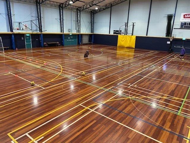 Sand4U Hastings Sports Centre Gloss Feb26.jpg
