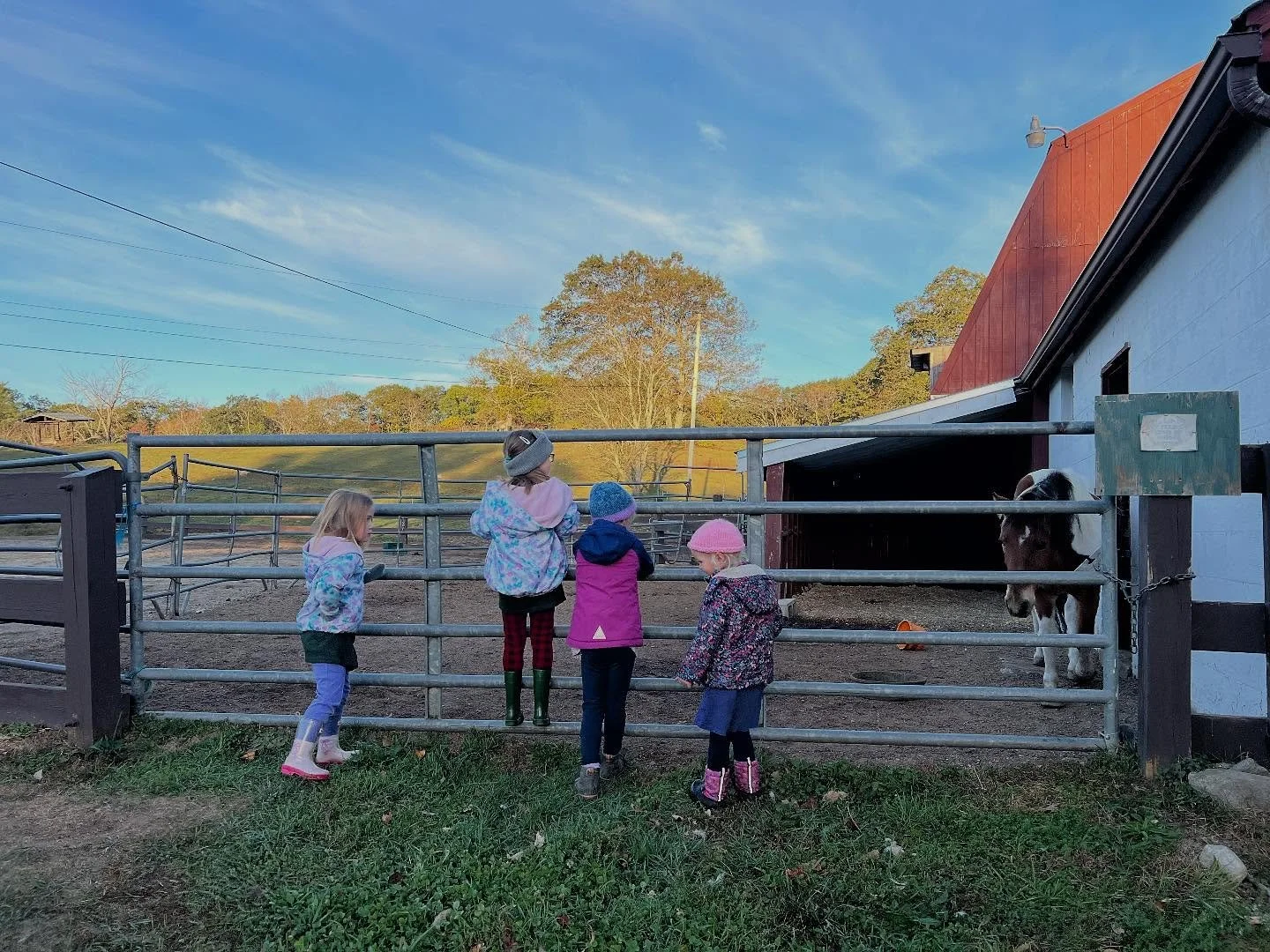 Weekend warriors 🍁💪🏼
This month has been demanding at work, but you cannot let a New England fall pass by without enjoying it! 
We had a blast at @innateasthillfarm with @bintamcgovern and fam! We celebrated @jthornel + @andrewringler 👰🏻 💕 pi