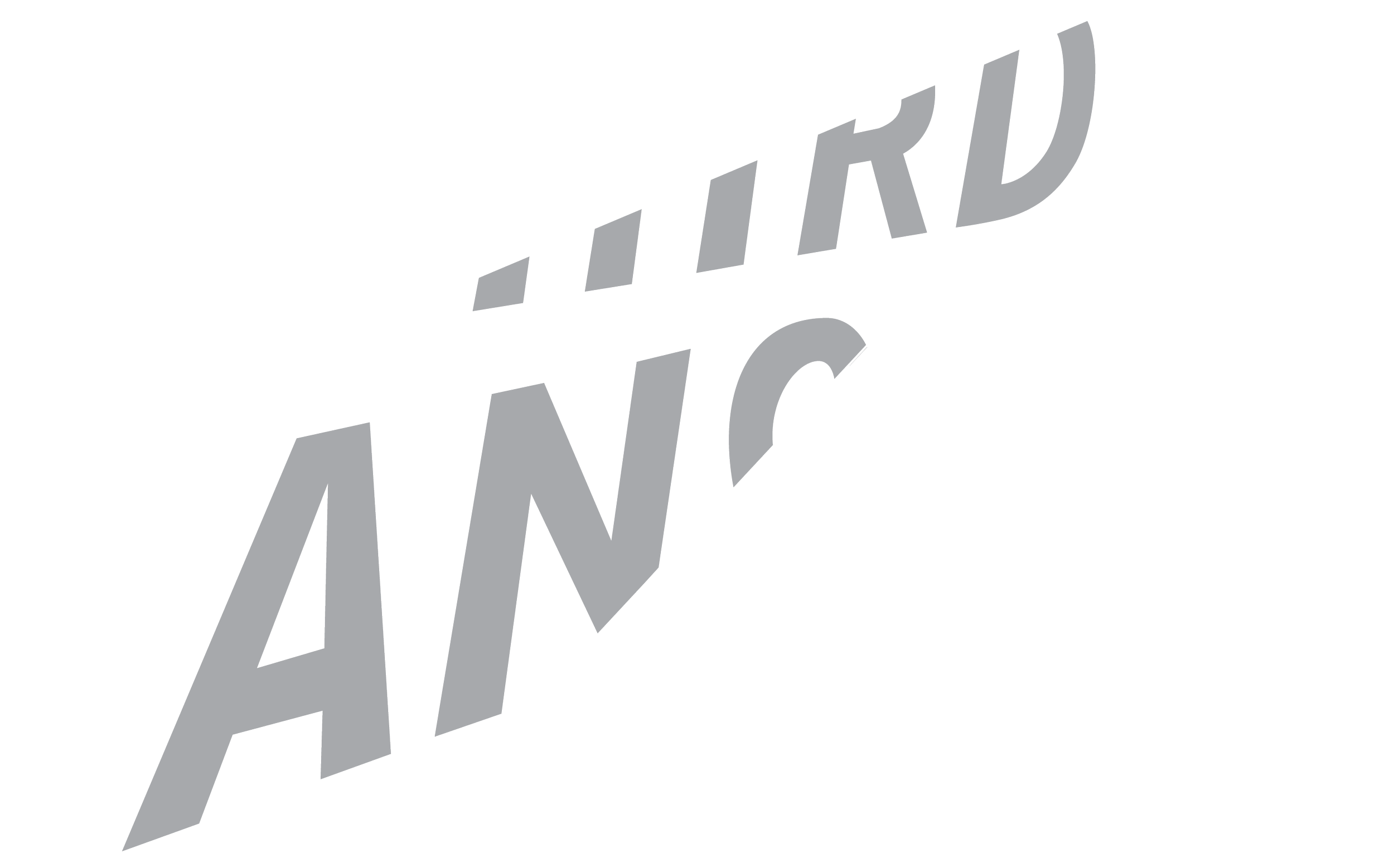 Black Logo no BG.png