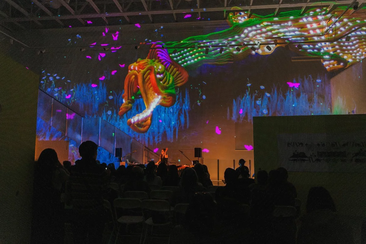 Maria Finkelmeier live music projection art
