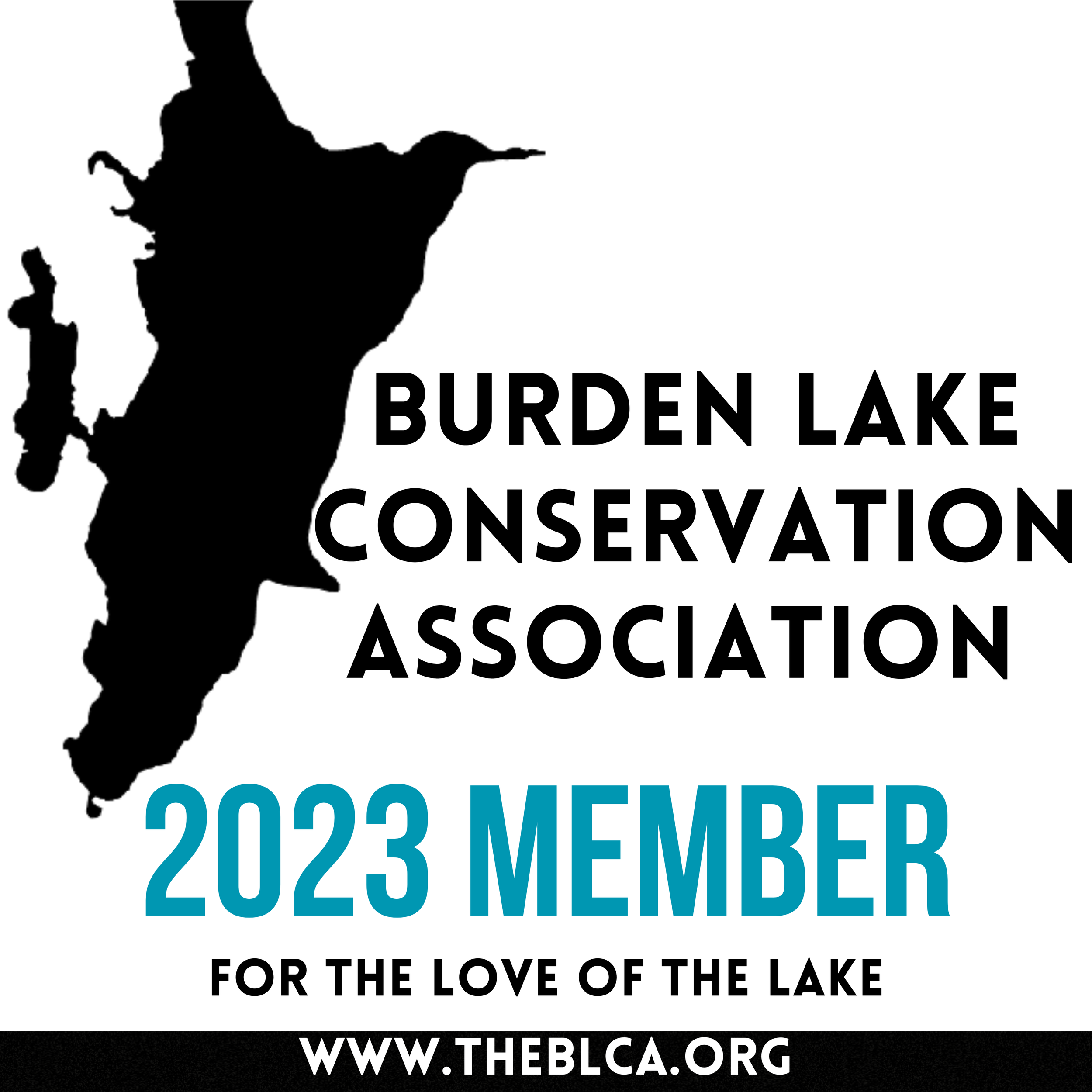 Projects — Burden Lake Conservation Association
