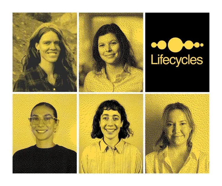 Celebrating our women in STEM