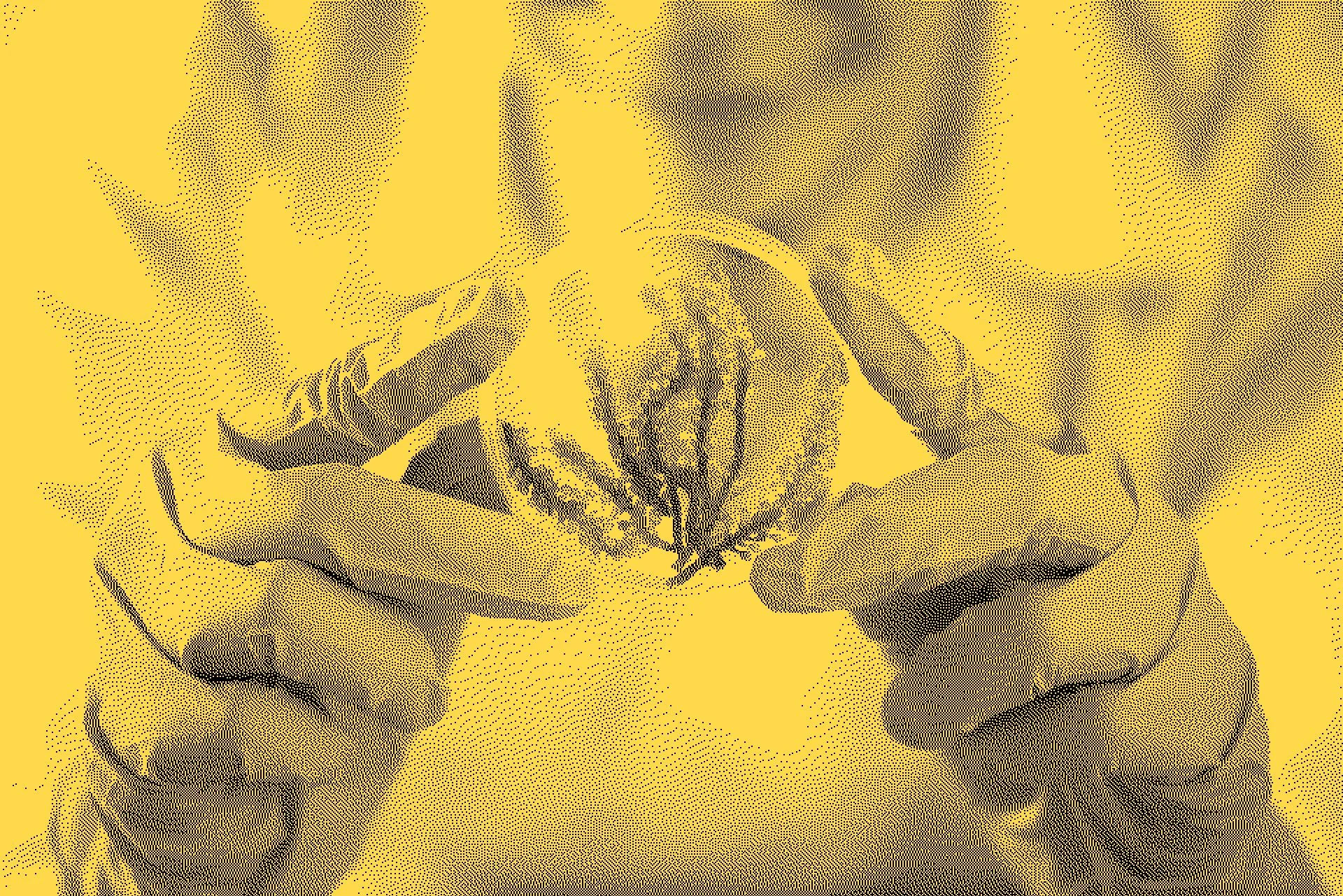 Australia's first certified life cycle executive