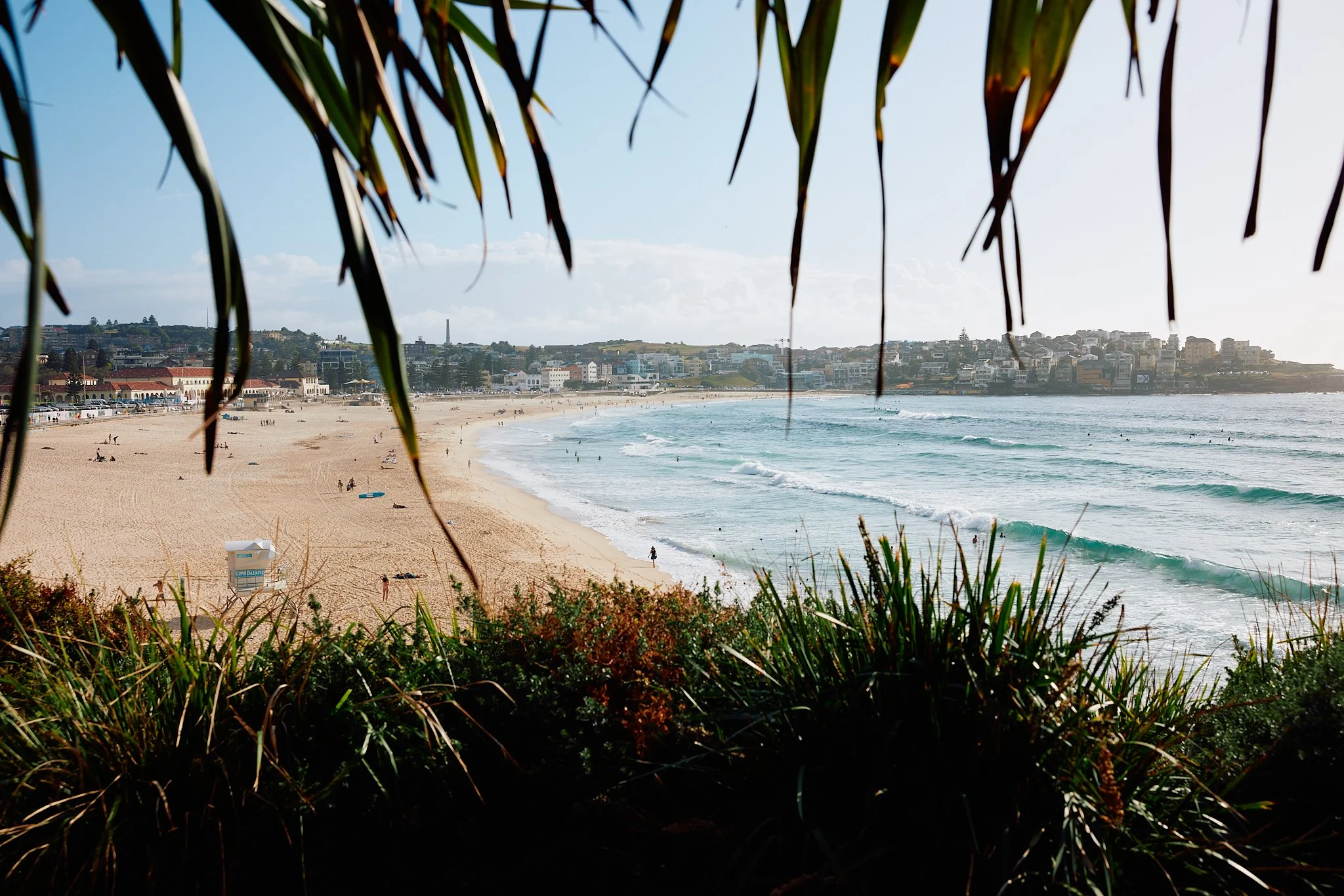 Sydney_DecJan23_ 150.jpg