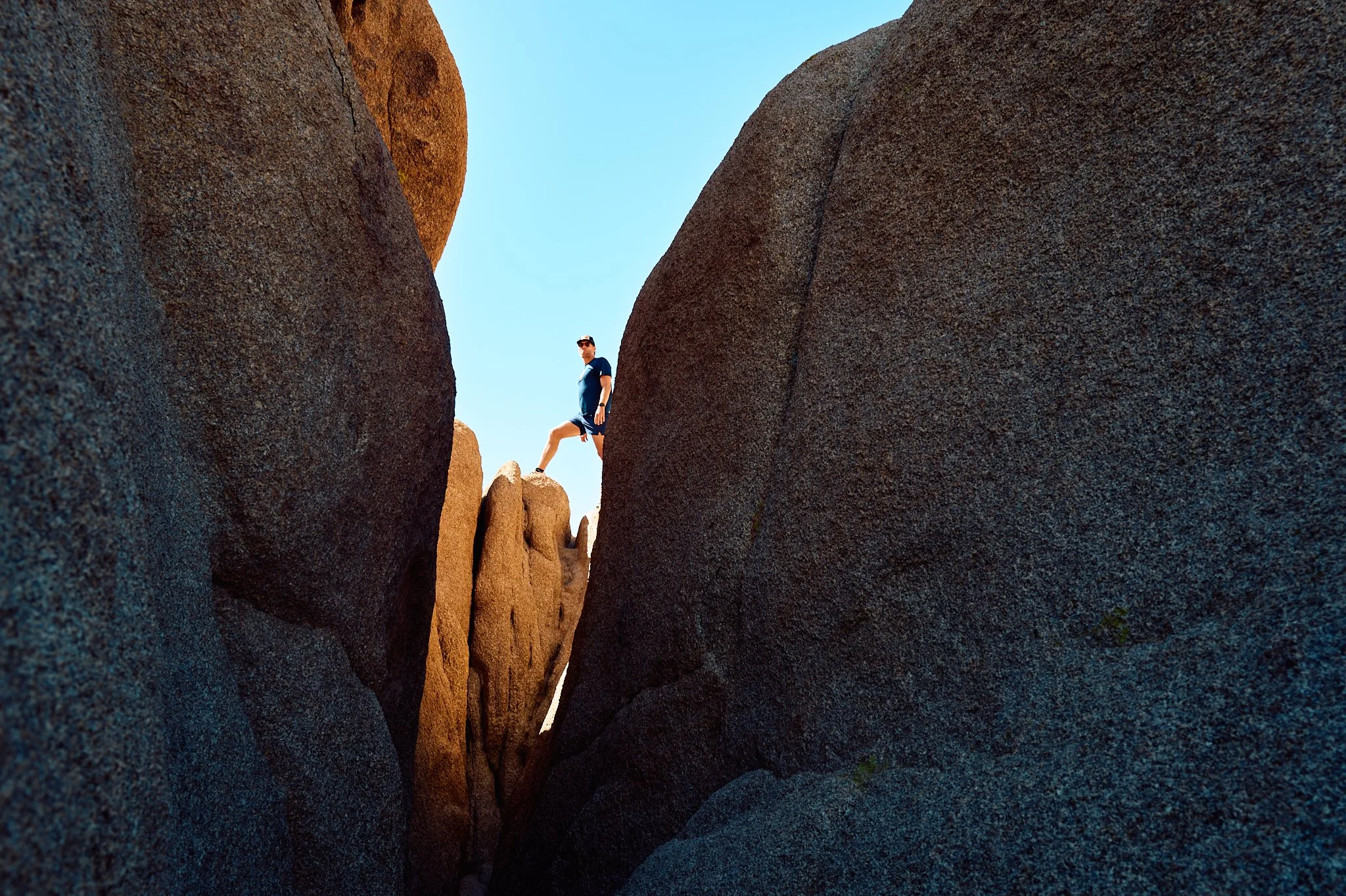 20260503_JoshuaTree_PipCowley_ 152 1.jpg
