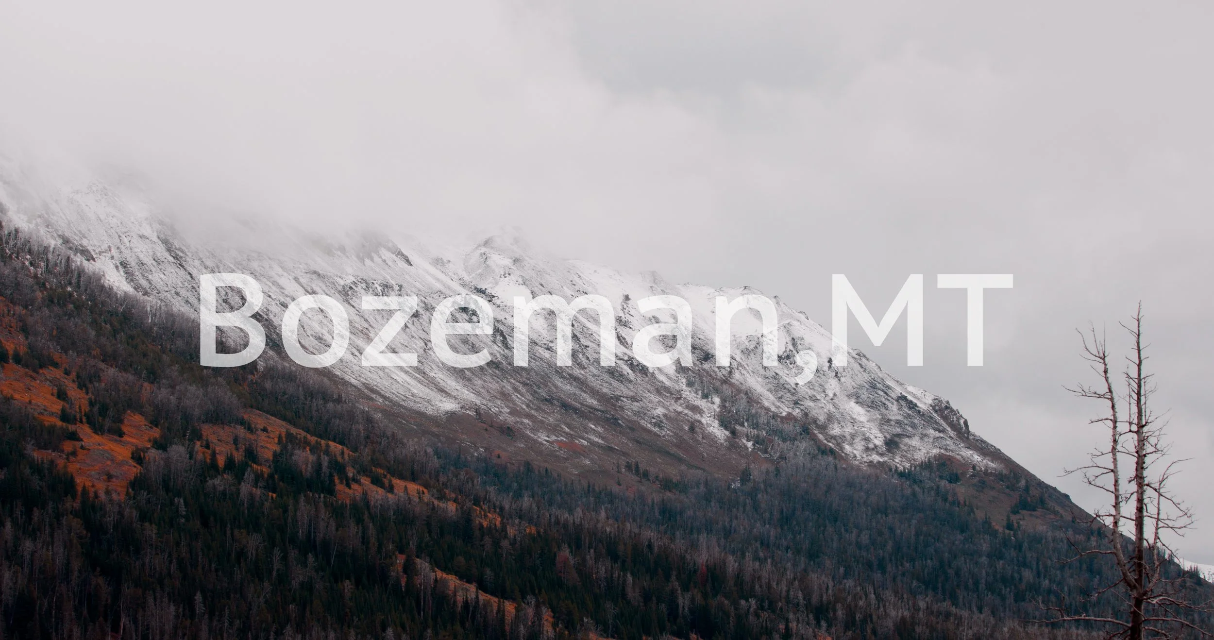 BOZEMAN_title.jpg