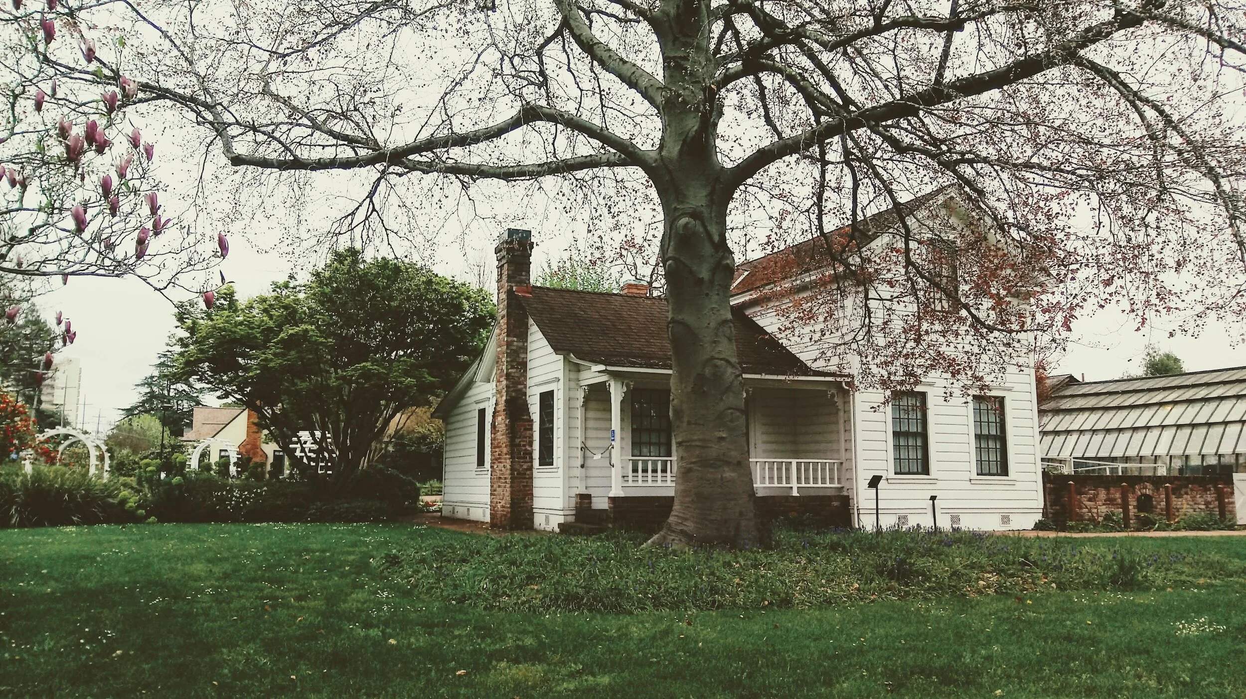 Santa Rosa: Where California Dreams Come True