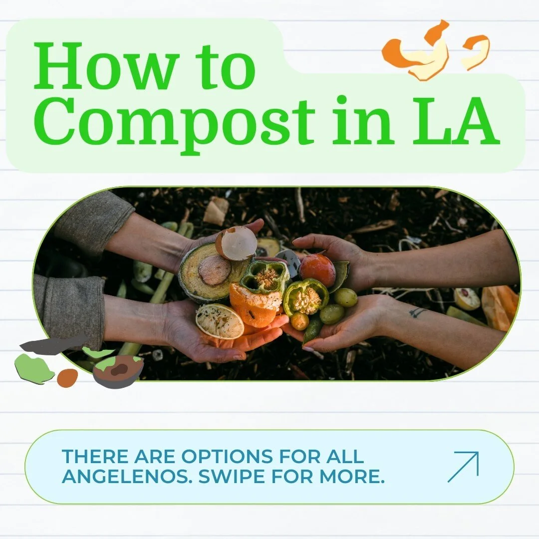 To start #InternationalCompostAwarenessWeek, let's make sure all Angelenos are aware of how to compost in LA! You have several options including: ⁠
⁠
♻️ Using your @lacitysan OrganicsLA #GreenBin (for single-family residents). ⁠
⁠
♻️ #HomeComposting 