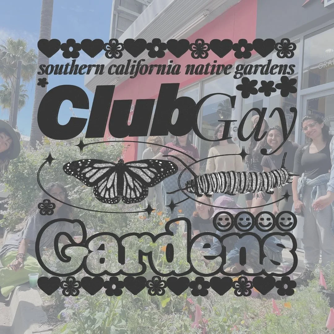 Happy Pride Month!&nbsp;🏳️&zwj;🌈 

We are excited to spotlight @clubgaygardens, co-run by our NELA Regional Coordinator @maggie__mayhem 🌱 

Club Gay Gardens is a group of local queer volunteers who, over the last 2 years, have built and maintained