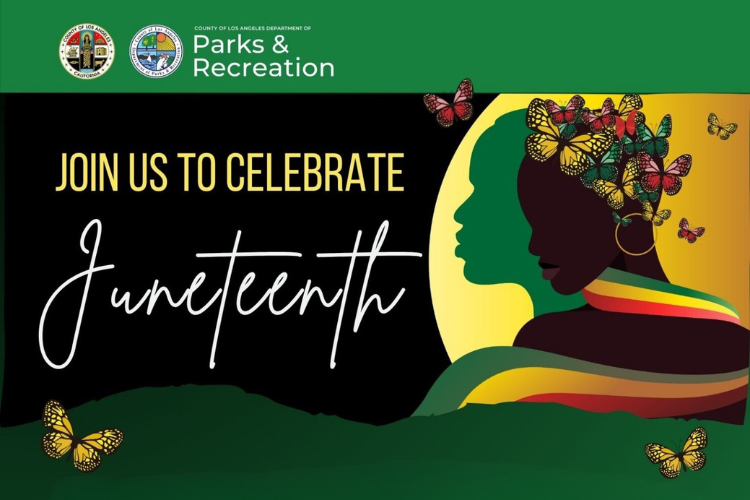 Juneteenth Celebration at Valleydale Park
