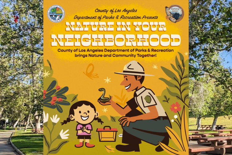 Nature in Your Neighborhood