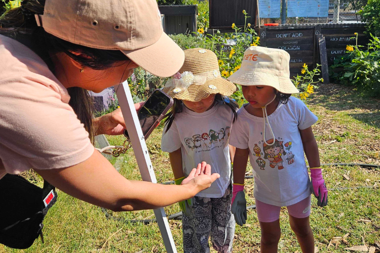 Family Fun Day (S.O.W Collective Backyard Farm in Arleta)