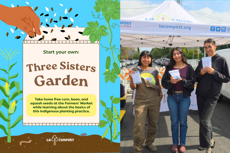 Three Sisters Seed Distribution (Central Ave. Farmers’ Market)
