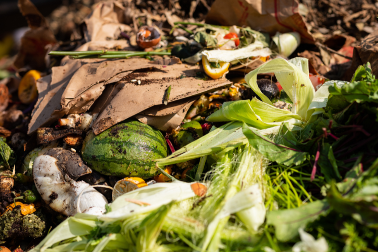 Info Session: Community Composting for Green Spaces - Cycle 5