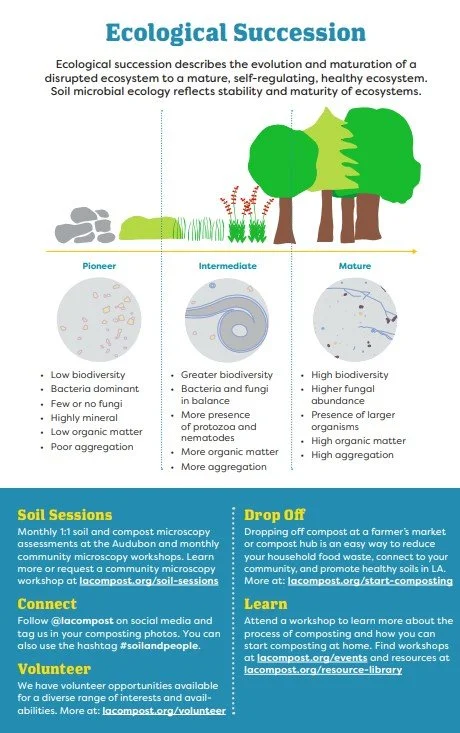 page 4 soil.jpg