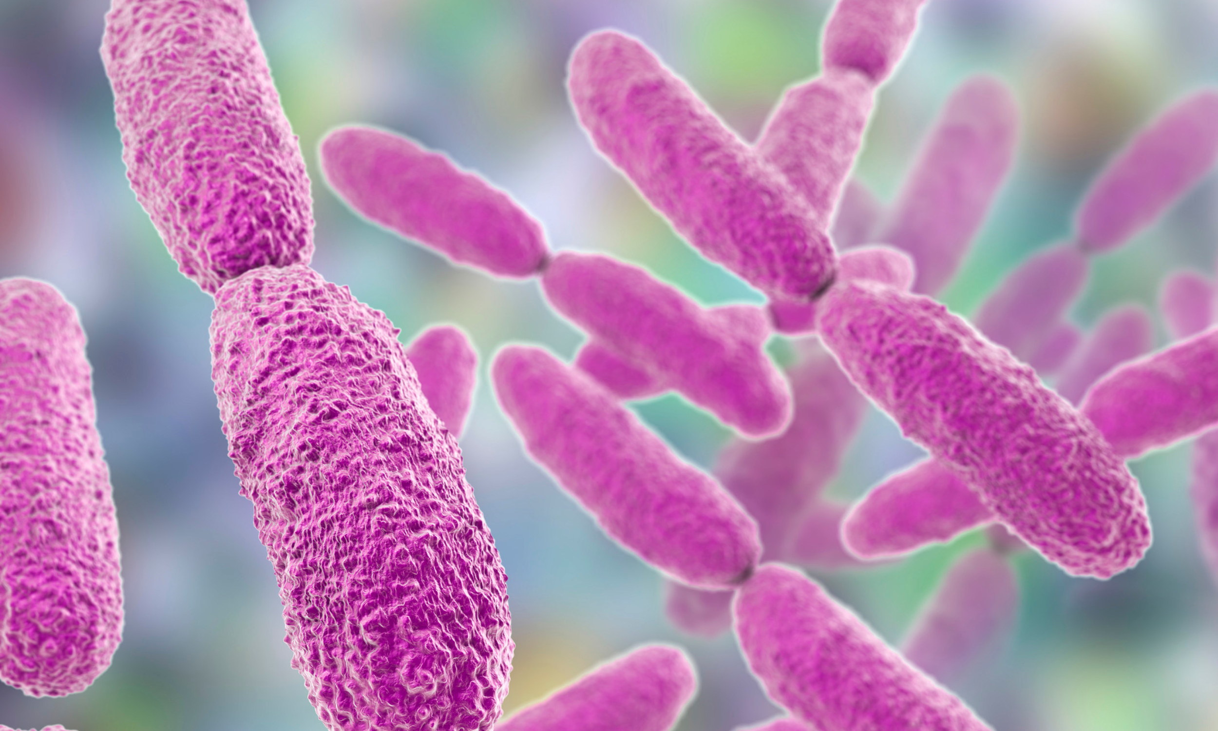 Microbe Spotlight: Klebsiella