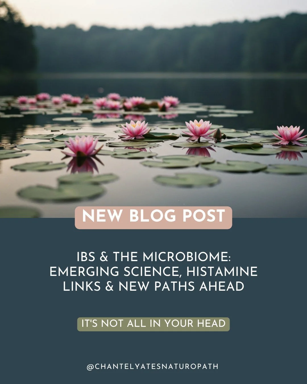 When I was first diagnosed with IBS nearly twenty years ago, I was told to go on a low FODMAP diet and reduce stress. Sound familiar?

I dutifully eliminated foods and tried to stay calm. But the longer I stayed restrictive, the worse everything beca