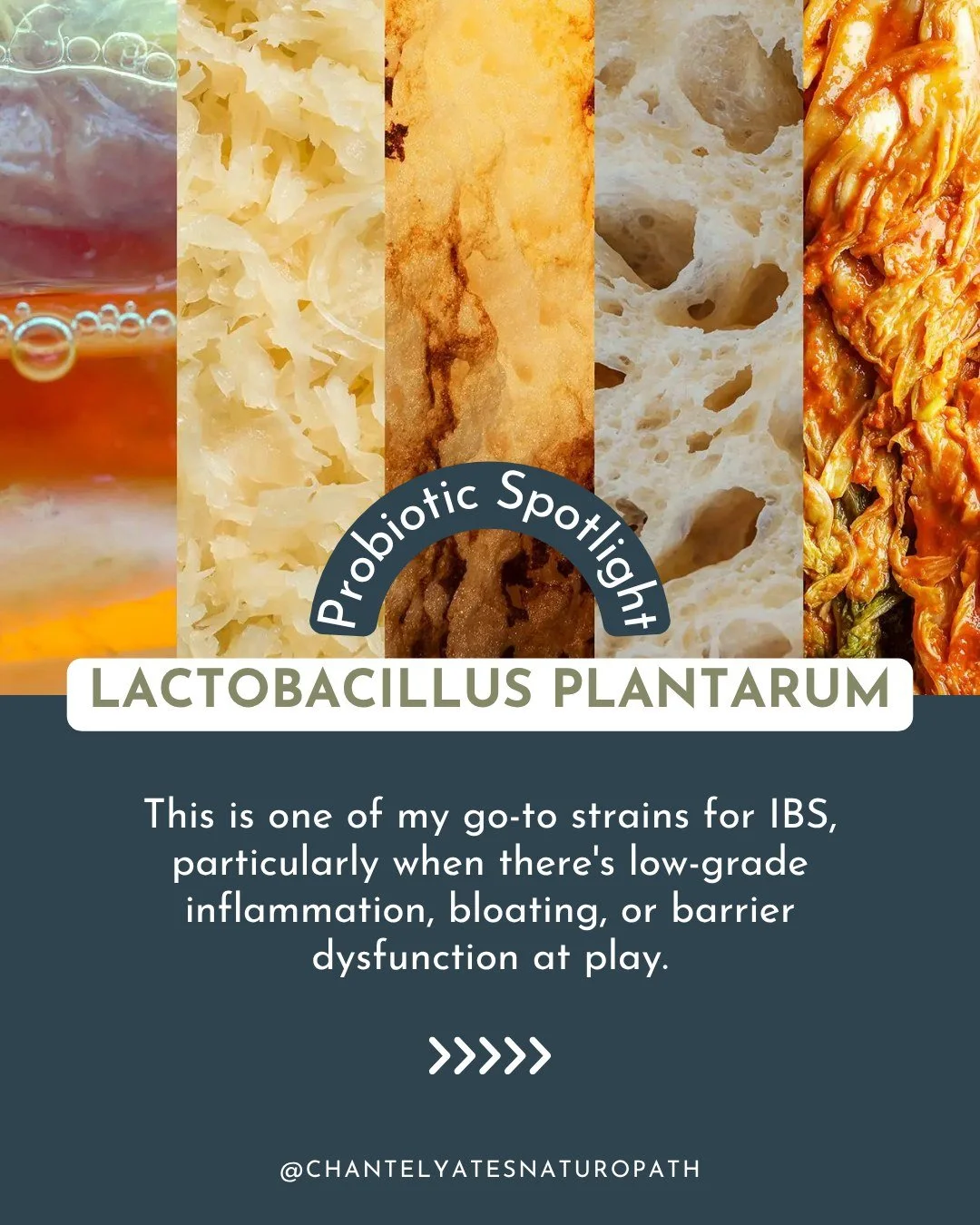 What makes L. plantarum special?

✨ Barrier support: It strengthens tight junctions in the gut lining, reducing intestinal permeability (aka &quot;leaky gut&quot;)

✨ Anti-inflammatory: It modulates immune responses and can reduce inflammatory marker