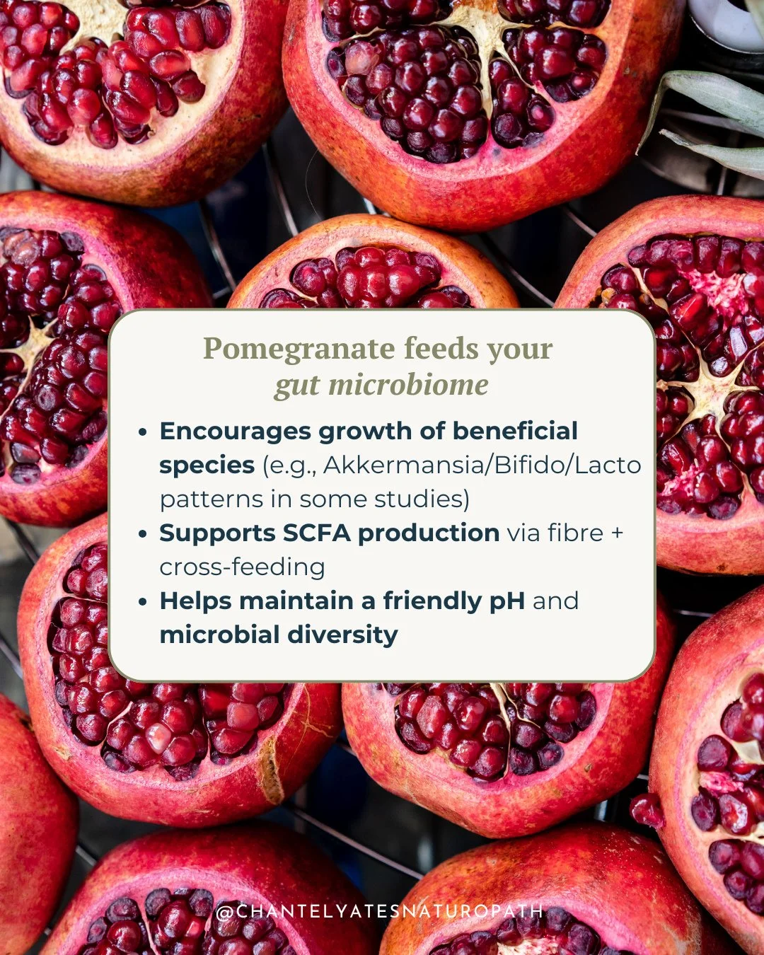 Did you know pomegranates don&rsquo;t just taste amazing, they feed your gut microbiome too? 👏🏼⁠
⁠
They help:⁠
1️⃣ Encourage the growth of beneficial bacteria like Akkermansia and Bifidobacterium, which support gut barrier integrity and immune bala