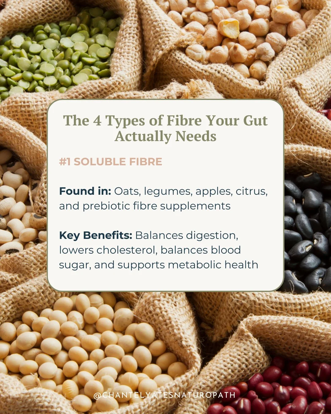Did you know that there&rsquo;s more than one type of fibre? ⁠
⁠
Each of these fibre types play a unique role in gut and metabolic health...⁠
⁠
🌾 Soluble fibre balances blood sugar and supports cholesterol⁠
🥦 Insoluble fibre adds bulk and keeps thi