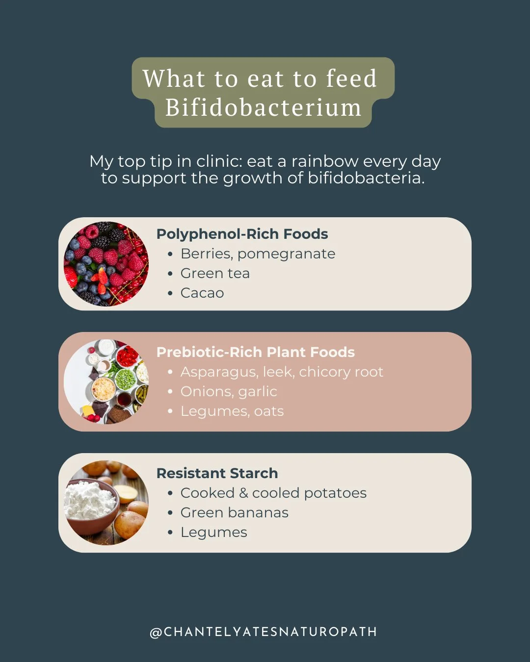 Want to support your gut health at the microbial level?⁠
⁠
Start by feeding your Bifidobacteria, one of the most important probiotic species for immune function, gut barrier support, and inflammation regulation.⁠
⁠
My top clinical tip? Eat a rainbow 