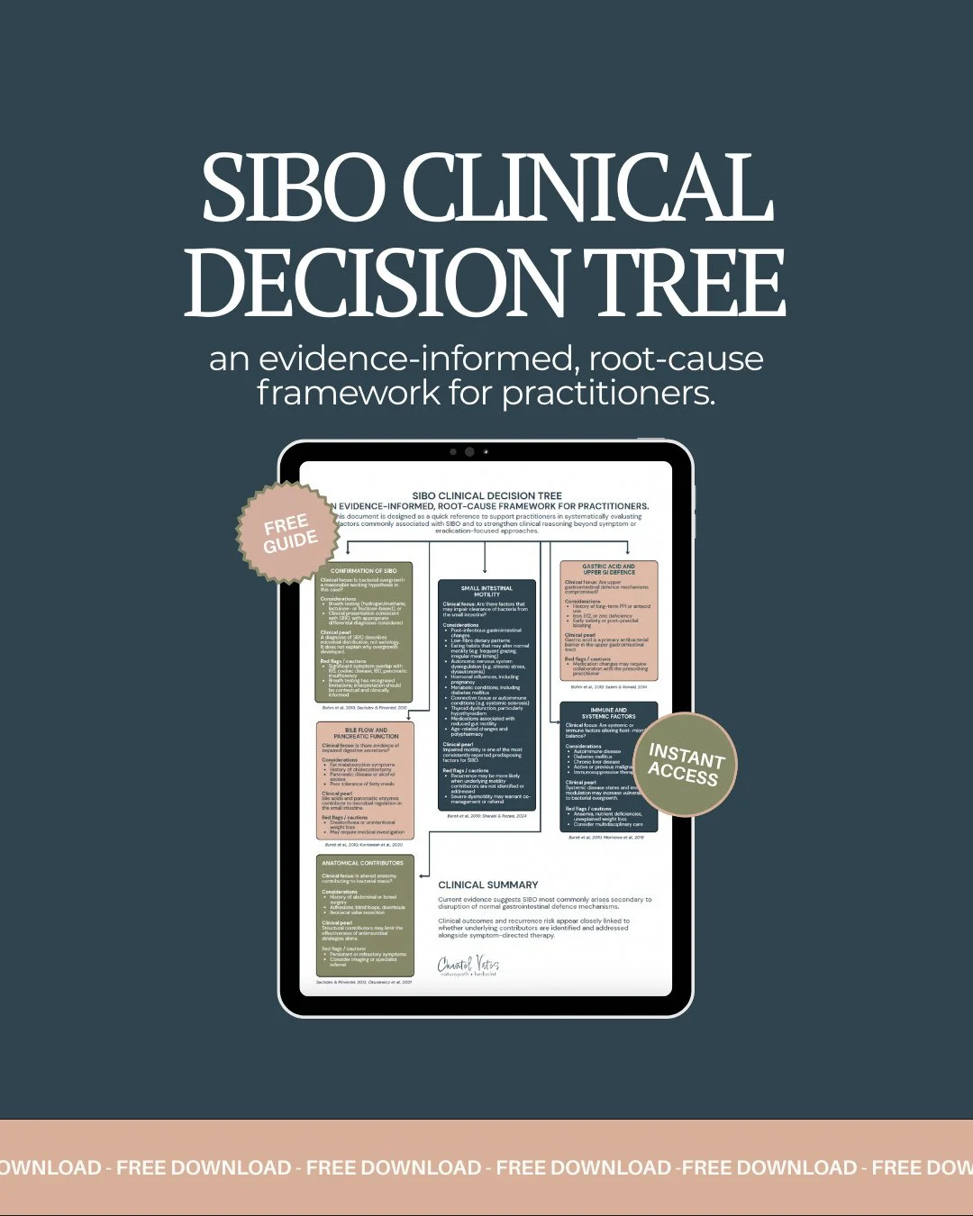 🧠 Practitioners: Are you treating SIBO&hellip; or just chasing symptoms?⁠
⁠
If you&rsquo;re relying solely on eradication protocols, you&rsquo;re likely missing the real drivers.⁠
⁠
I&rsquo;ve created a SIBO Clinical Decision Tree - An Evidence-Info
