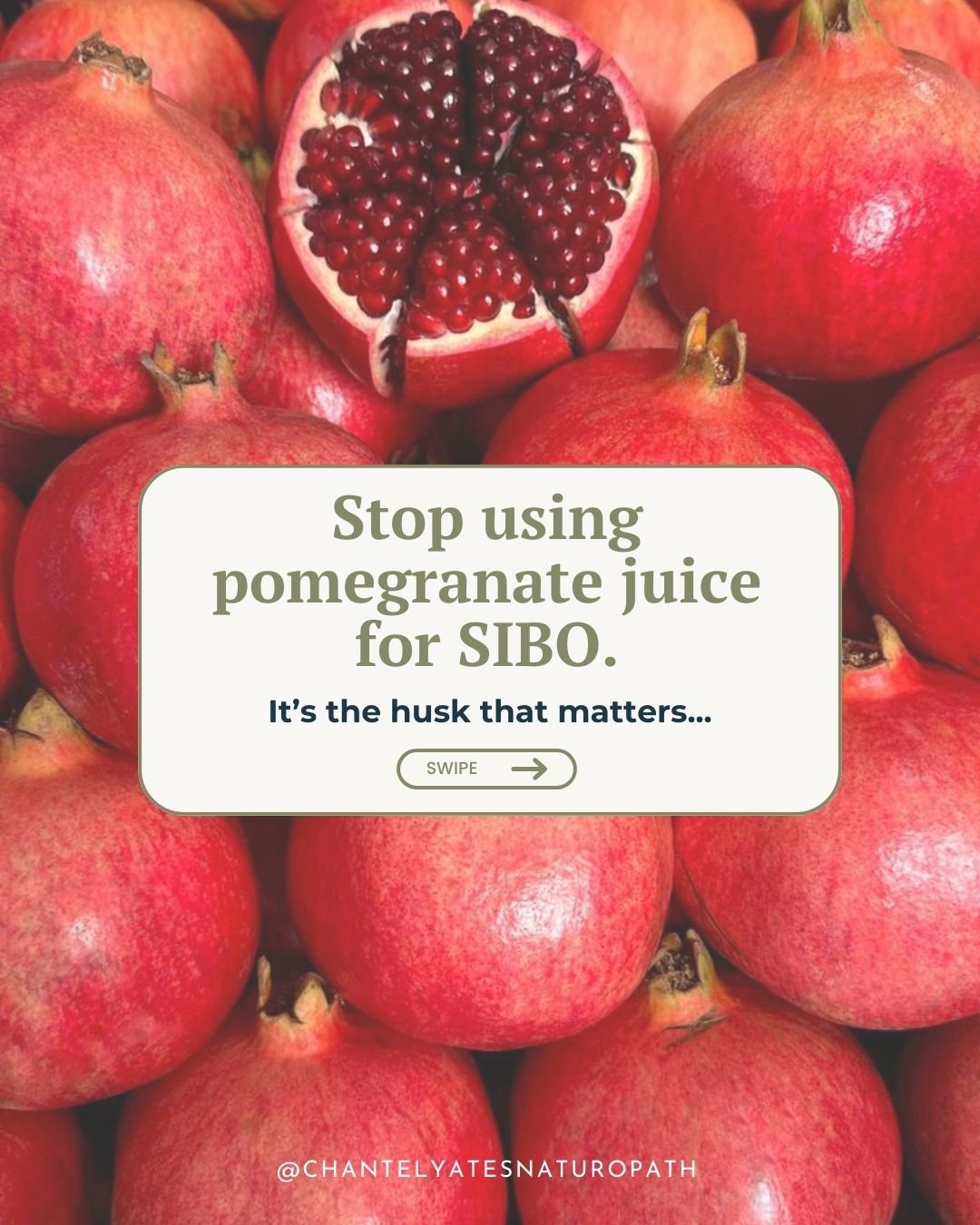 Pomegranate for SIBO? Yes. But not the part you think.

Pomegranate husk, not the fruit, is one of my favourite herbal tools in SIBO cases.

The husk contains concentrated polyphenols and tannins that have antimicrobial and microbiome-modulating acti