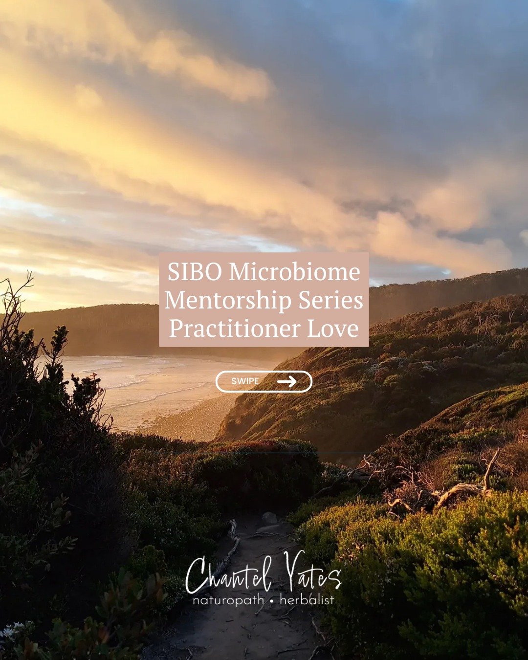Nothing speaks louder than peer feedback. 

The SIBO Microbiome Mentorship Series was created to bridge the gap between research and real-world clinical application, and seeing practitioners feel more confident managing complex cases is exactly why i