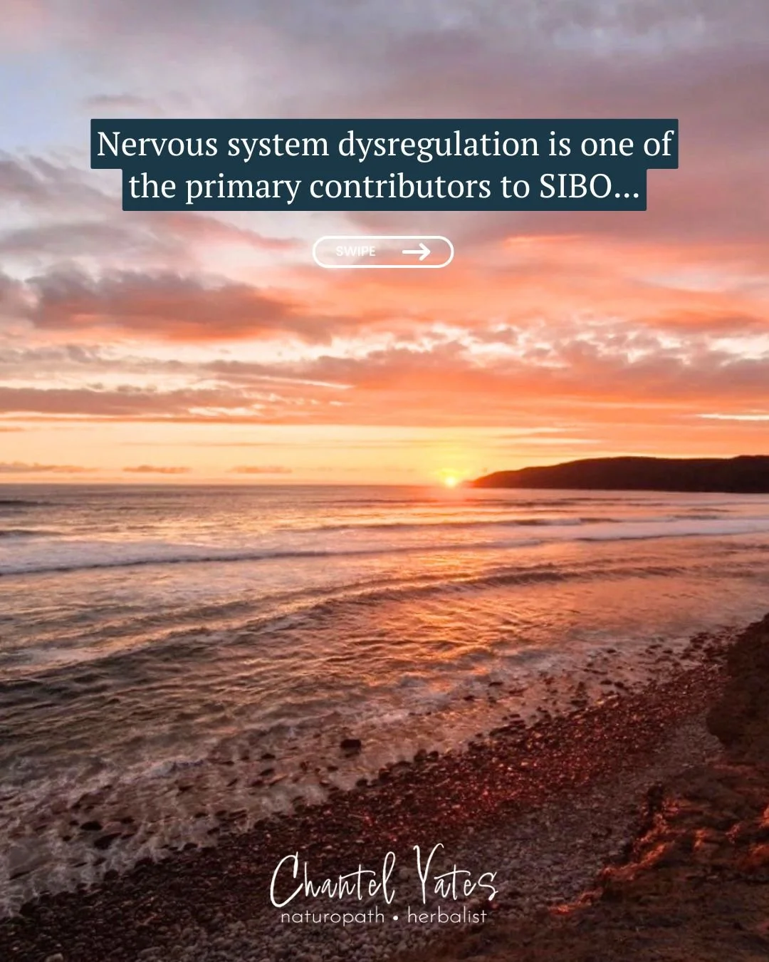 One of the most overlooked contributors to SIBO?

Nervous system dysregulation.

So many patients say, &ldquo;I&rsquo;m not stressed.&rdquo;
But we&rsquo;ve normalised a level of background anxiety in our culture that many people don&rsquo;t even rec