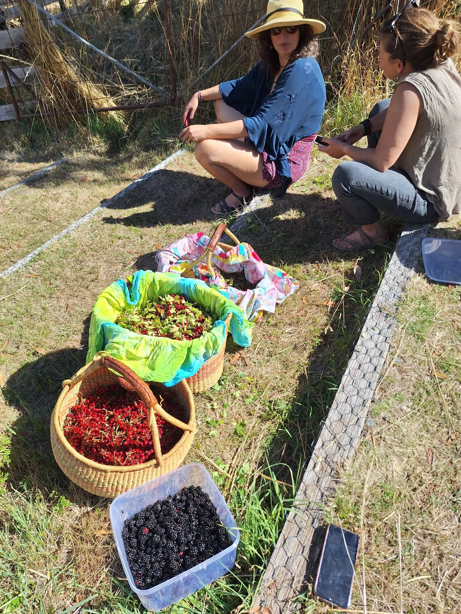 WhatsApp Image 2026-03-31 at 13.36.12.jpeg