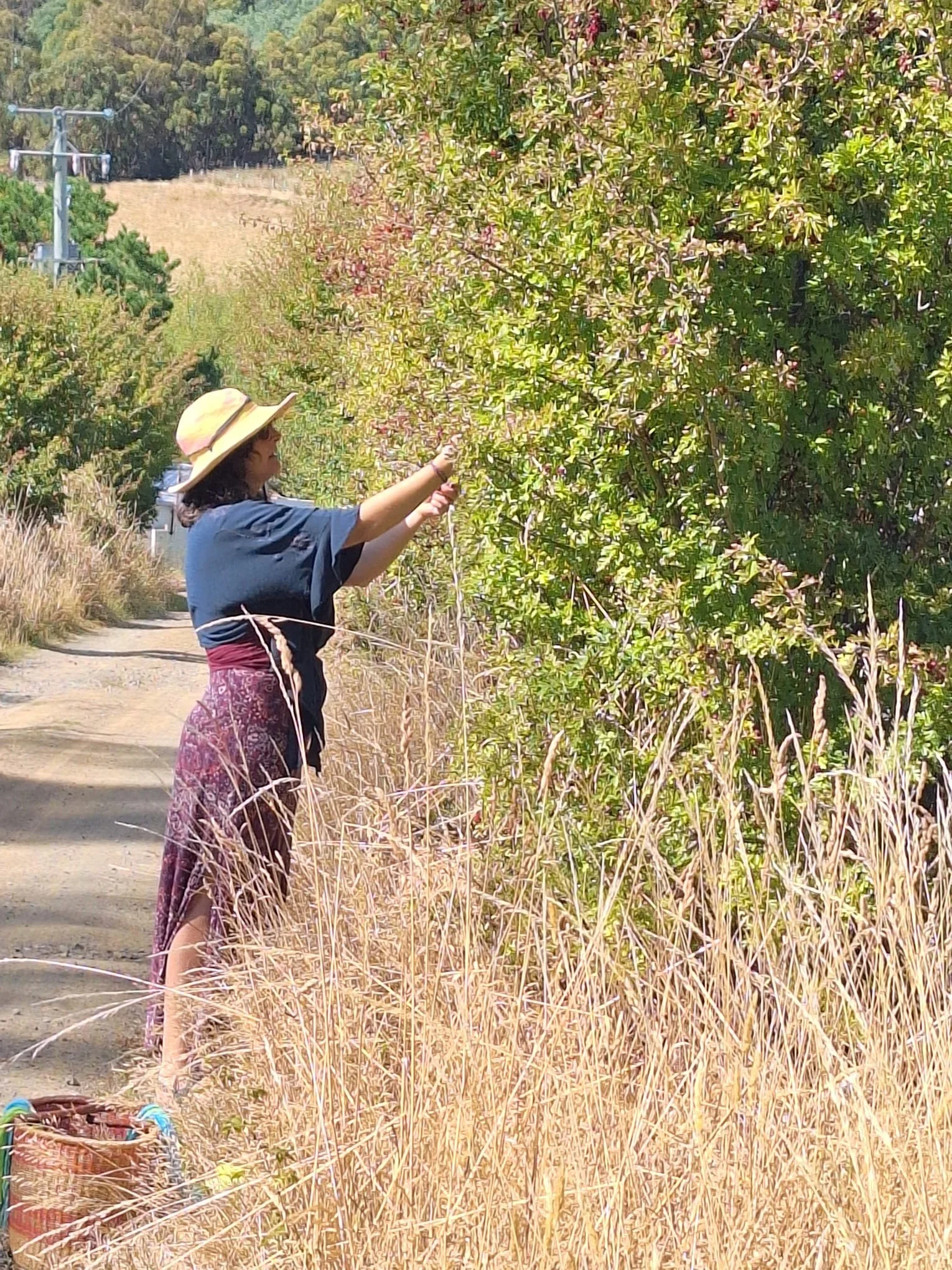 WhatsApp Image 2026-03-31 at 13.36.10.jpeg